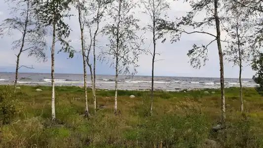 Самая Ладога - 87