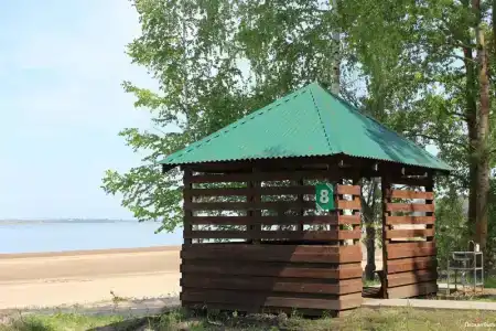 Лесная Быль - 29