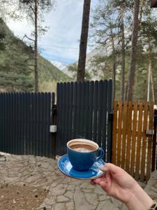 Наедине с Эльбрусом - 8