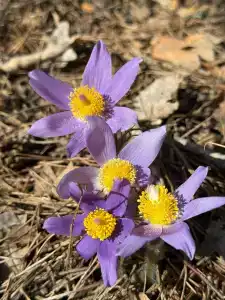 База отдыха на воде Оланга - 25