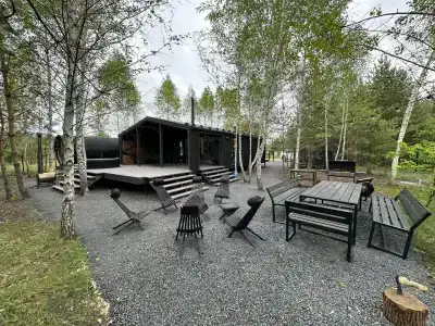 Betula - 0