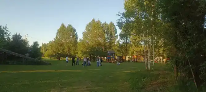 Золотой фазан - 19