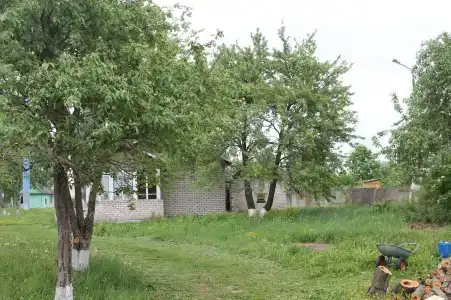 НовГУ - 36