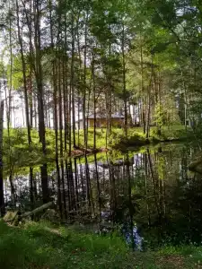 Медведчикова - 2