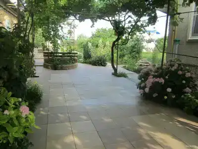 Летний сад - 14