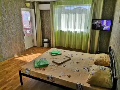 Пилот - 1