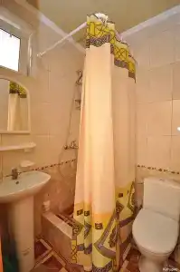 Кипарис - 24