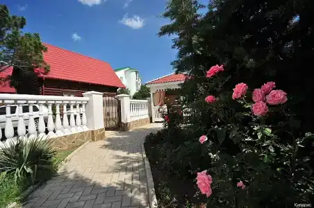 Кипарис - 21