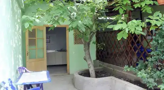 Зеленый двор - 18