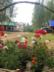 Селигерский плёс - 26