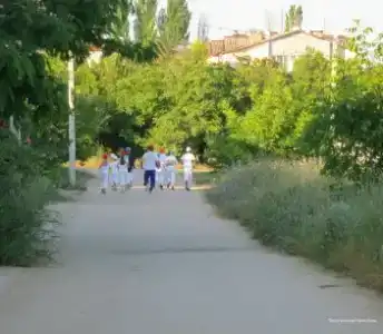 Ясно - 20