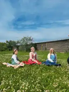 Сирин дом - 43