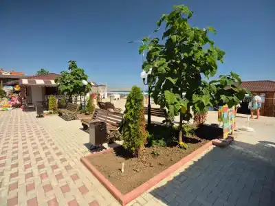 Юнге Арт Кэмп - 6