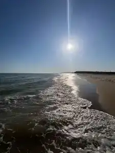 Фридом Веселовка - 83