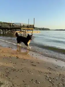 Лада Holiday - 15