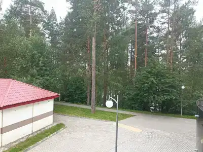 Жемчужина - 42