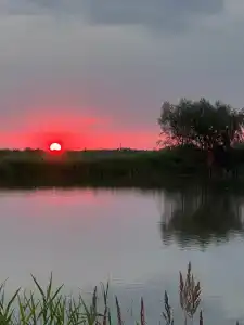 Земские имения - 24