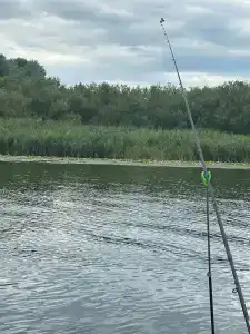 Галкина пристань - 4