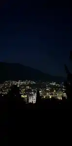 Дом в кедрах - 17