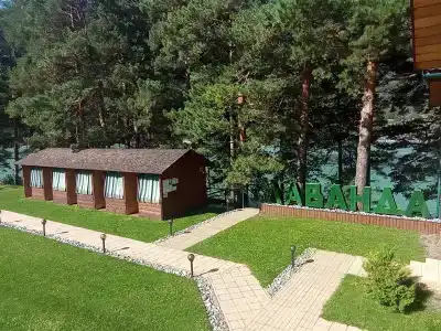 Лаванда - 43