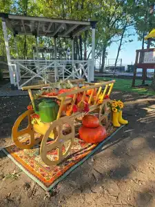 Высота - 6