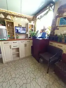 Созвездие+ - 29