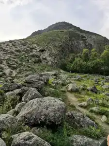 Каменные грибы - 14