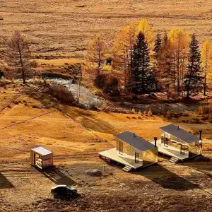 Лес и Ветер - 13