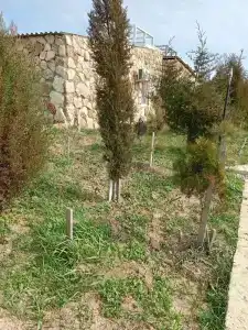 Ксения - 2