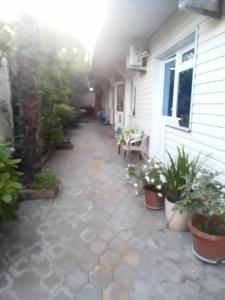 Единство - 43