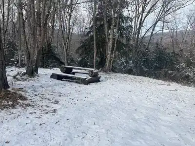 Золотой олень - 7