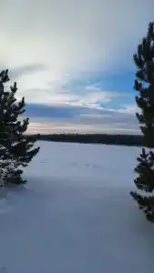 Аэлита - 14