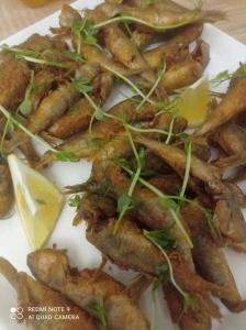 Сон у Моря - 93