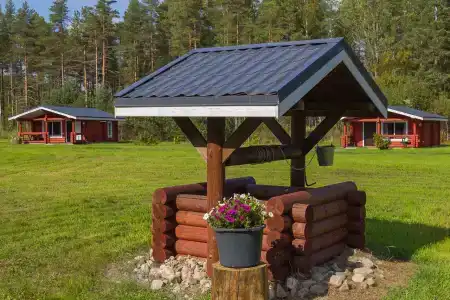 Карельская рябина - 22