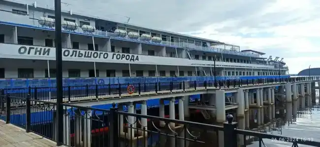 Шишкин - 20