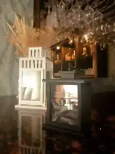 Стрекоза - 17