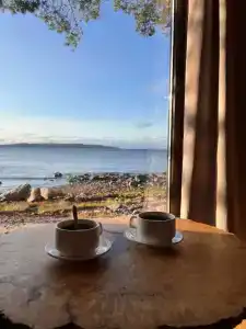 Кедр Грасс Белое Море - 30