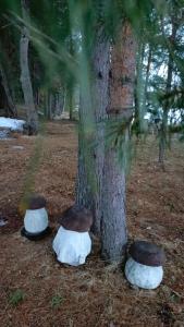 Челмужская усадьба - 62