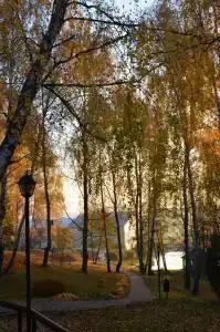 Усадьба Отрада - 19
