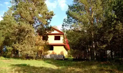 Шишкин лес - 2