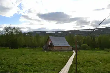 Звезда - 2
