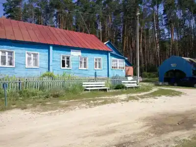 Селькин пруд - 34