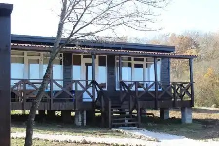 Скелепарк - 1