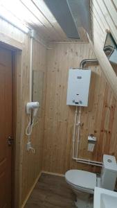 Диоскур - 21