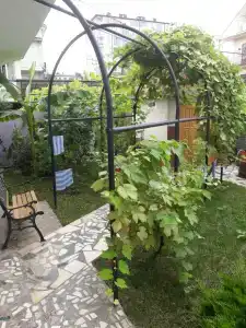 Аура Мира - 3