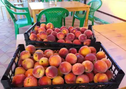 Касабланка - 3