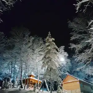 Хвалынский - 11