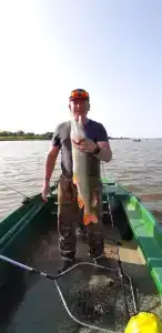 Все Свои - 33