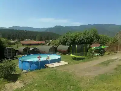 Кедровый бочонок - 15