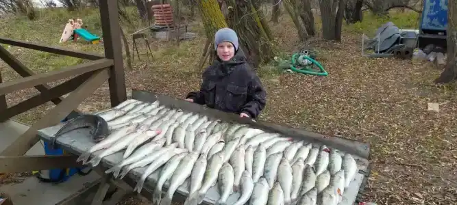 Плавучая гостиница Серебряная Дельта - 22